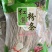 红薯粉条500克1包200斤起批**批发商，超市
