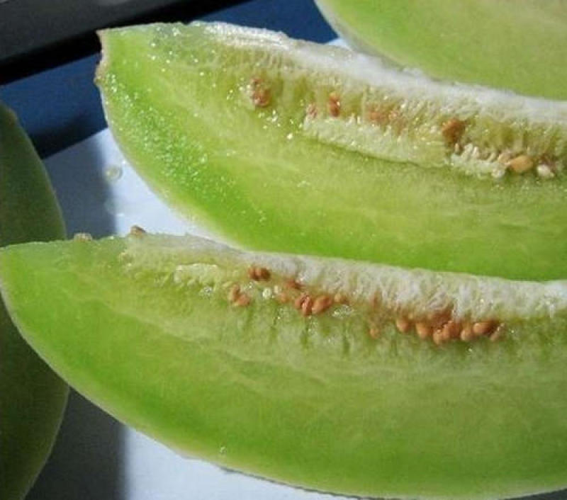 寿光市玉菇甜瓜大量上市！