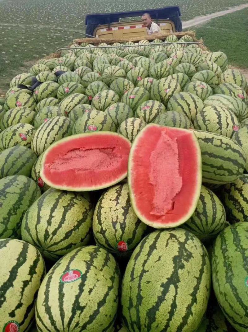 【推荐】宁夏中位香山硒砂瓜大量上市中原产地直发包熟包甜