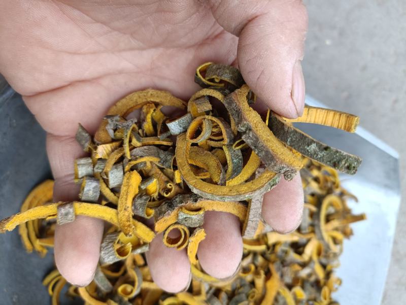四川产区带皮黄柏丝，约5-8mm段，无硫鲜货加工黄柏段