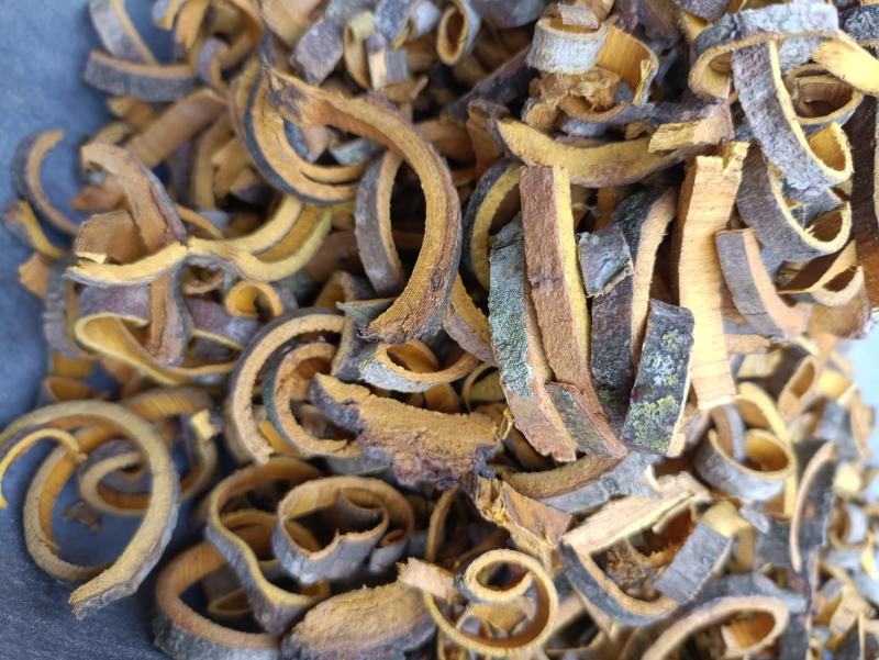 四川产区带皮黄柏丝，约5-8mm段，无硫鲜货加工黄柏段