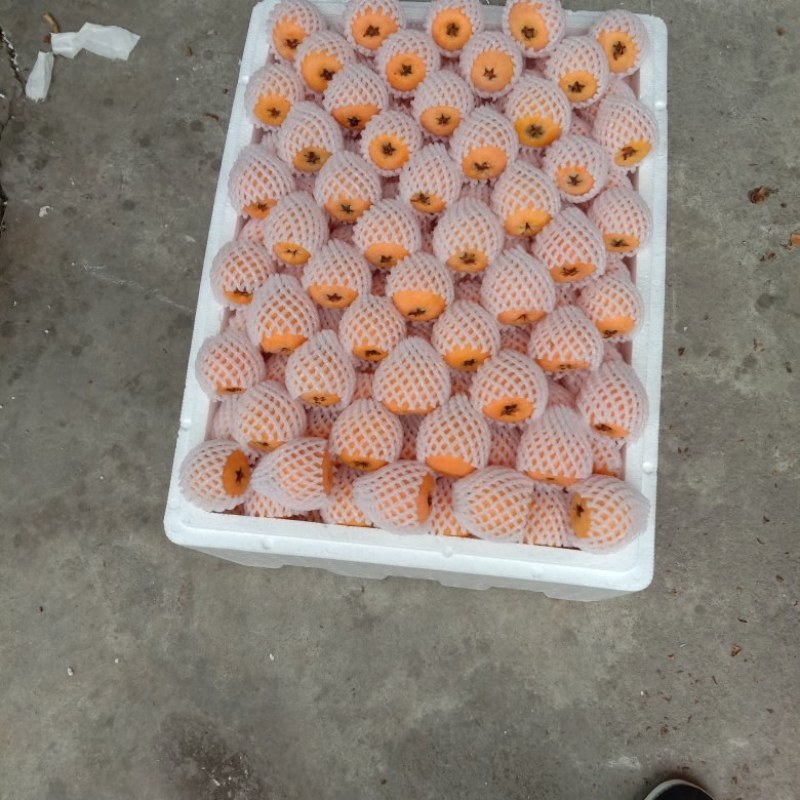 枇杷