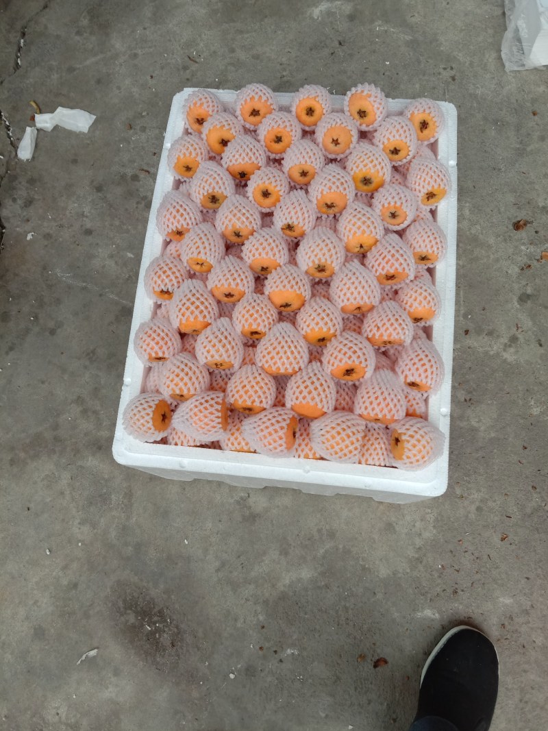 枇杷