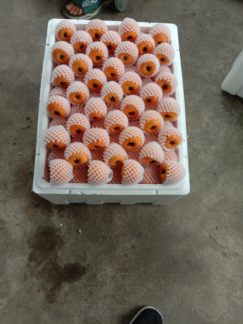 枇杷