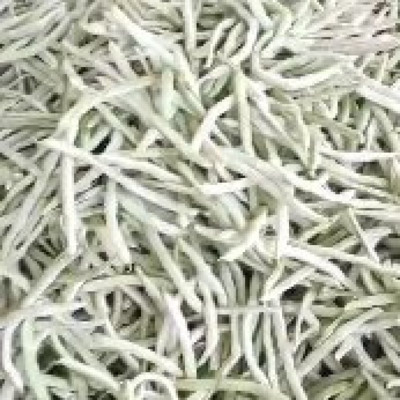 辽宁冷棚白芸豆大量上市