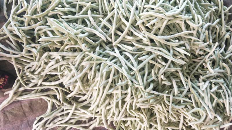辽宁冷棚白芸豆大量上市