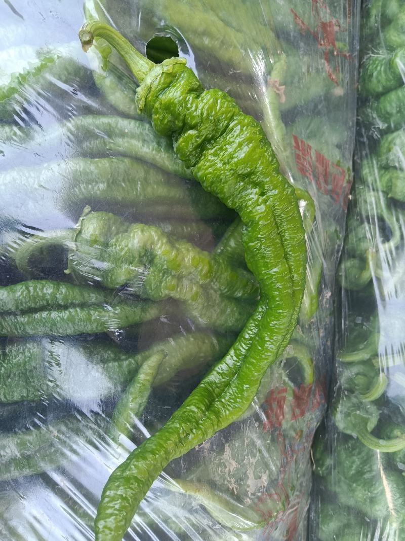 精品陇椒大降价