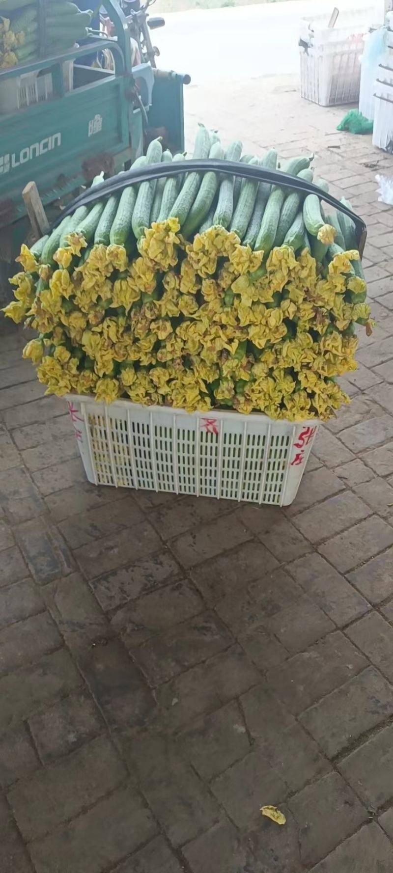 鲜花丝瓜