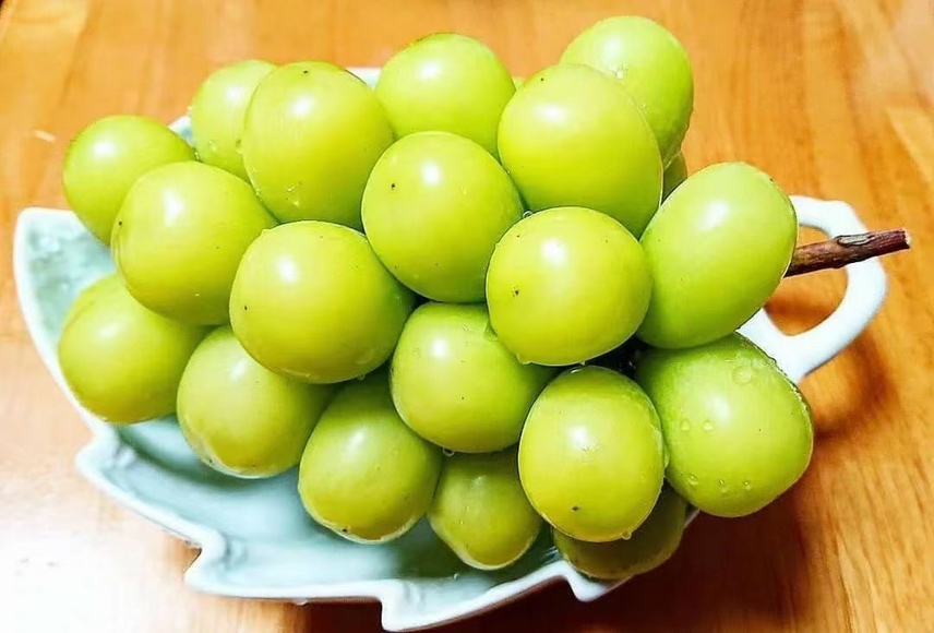 阳光玫瑰葡萄与其它水果对比图