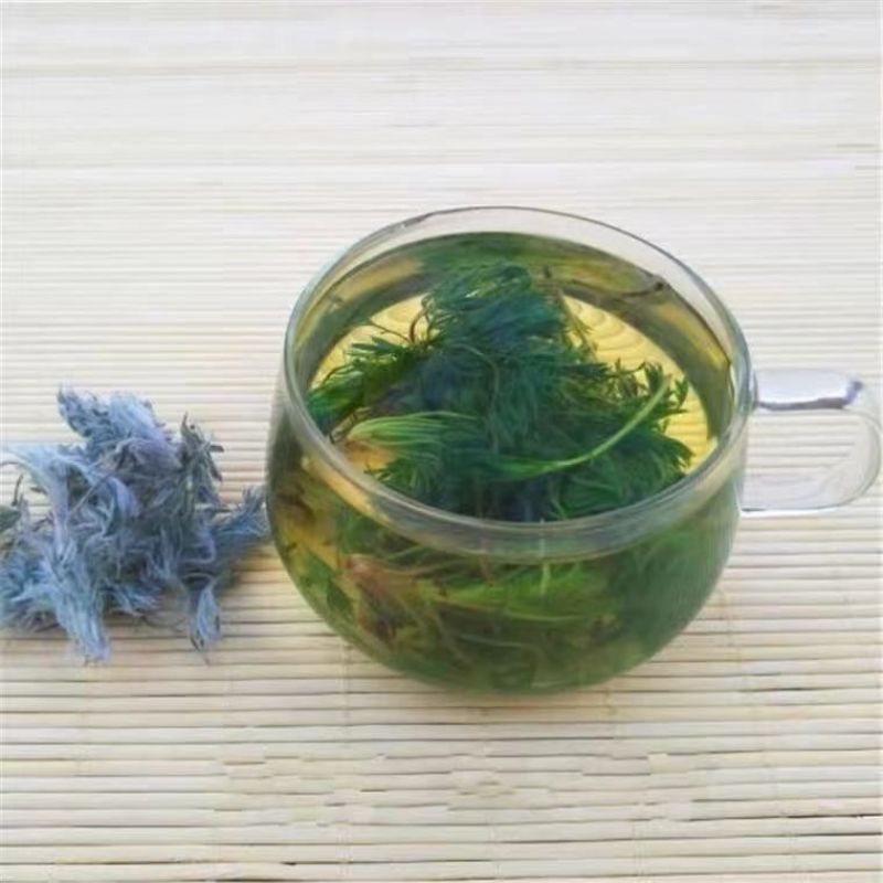 今年新货中药材因陈茵陈中药材茵陈茶茵陈批发