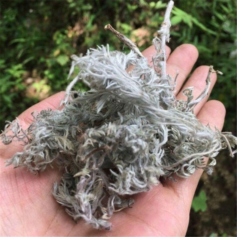 今年新货中药材因陈茵陈中药材茵陈茶茵陈批发