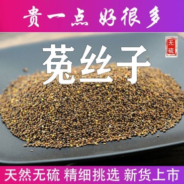 中药材正宗菟丝子内蒙特级吐丝子兔丝子菟丝籽茶泡酒颗粒批发