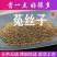 中药材正宗菟丝子内蒙特级吐丝子兔丝子菟丝籽茶泡酒颗粒批发