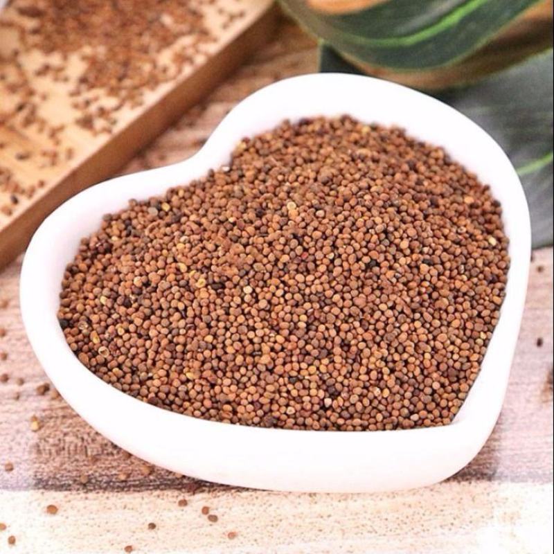 中药材正宗菟丝子内蒙特级吐丝子兔丝子菟丝籽茶泡酒颗粒批发
