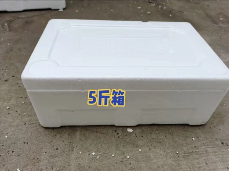 河南泡沫箱生产厂家，规格齐全，蔬菜箱，蛋托，酒托等。