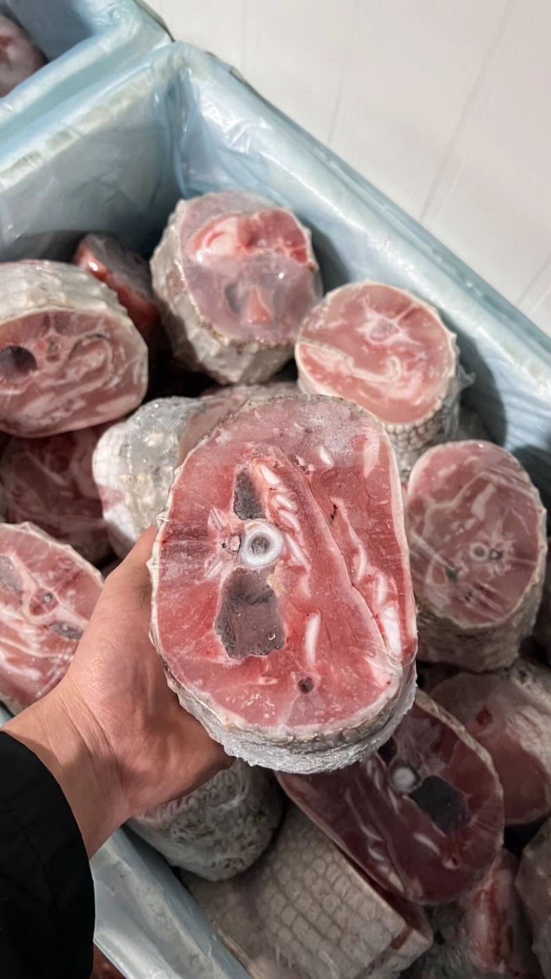 鳄鱼肉