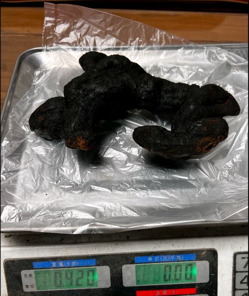 黄精九蒸九晒黄精干中药材九华山特产油黄精糯头黄精片泡茶