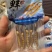 西藏鲜冬虫夏草