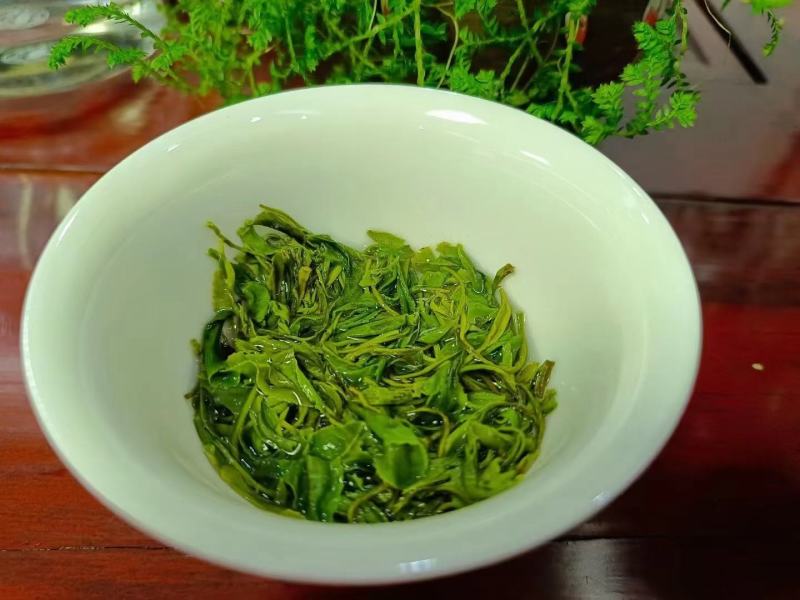 桐柏野山特产，天然玉叶茶明前绿茶纯手工制