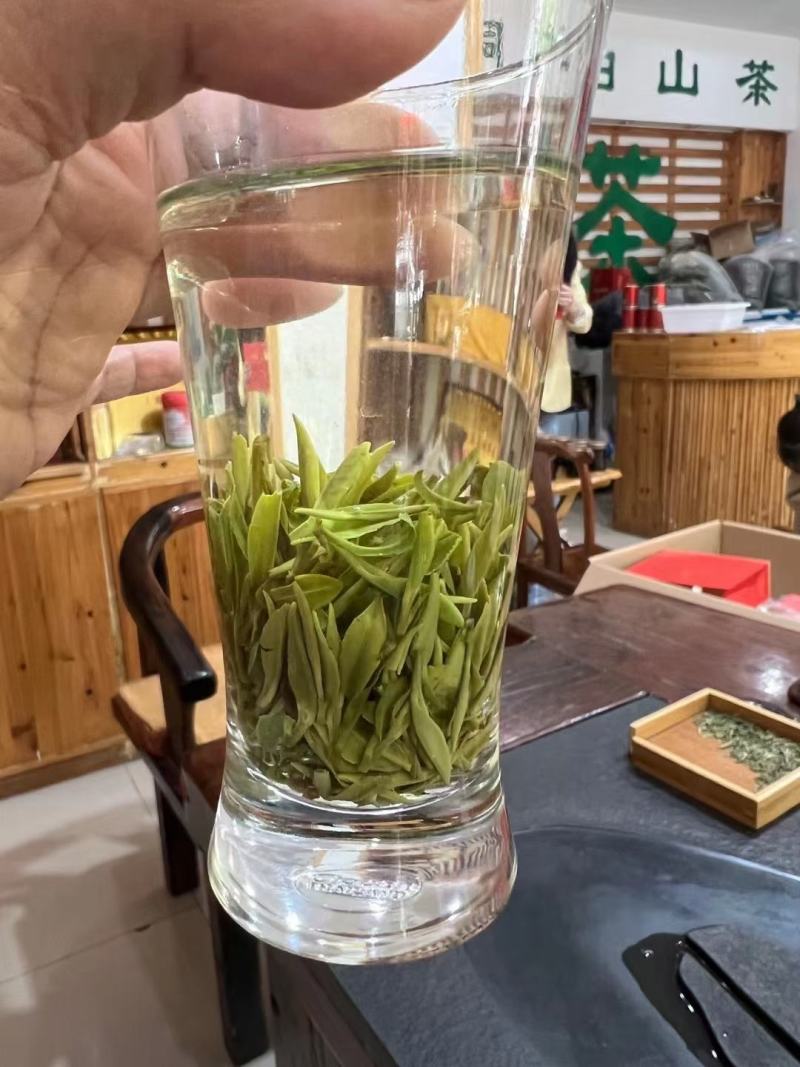 桐柏野山特产，天然玉叶茶明前绿茶纯手工制