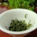 桐柏野山特产，天然玉叶茶明前绿茶纯手工制