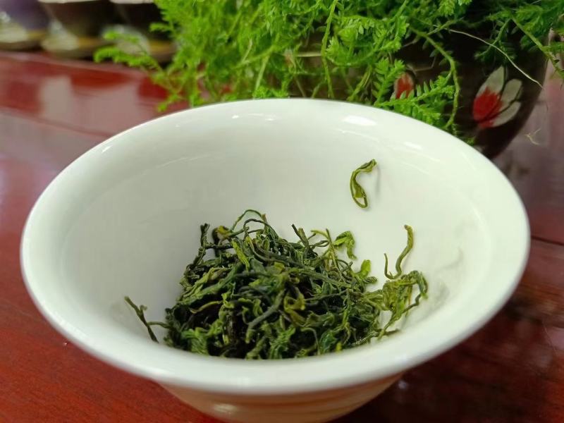 桐柏野山特产，天然玉叶茶明前绿茶纯手工制