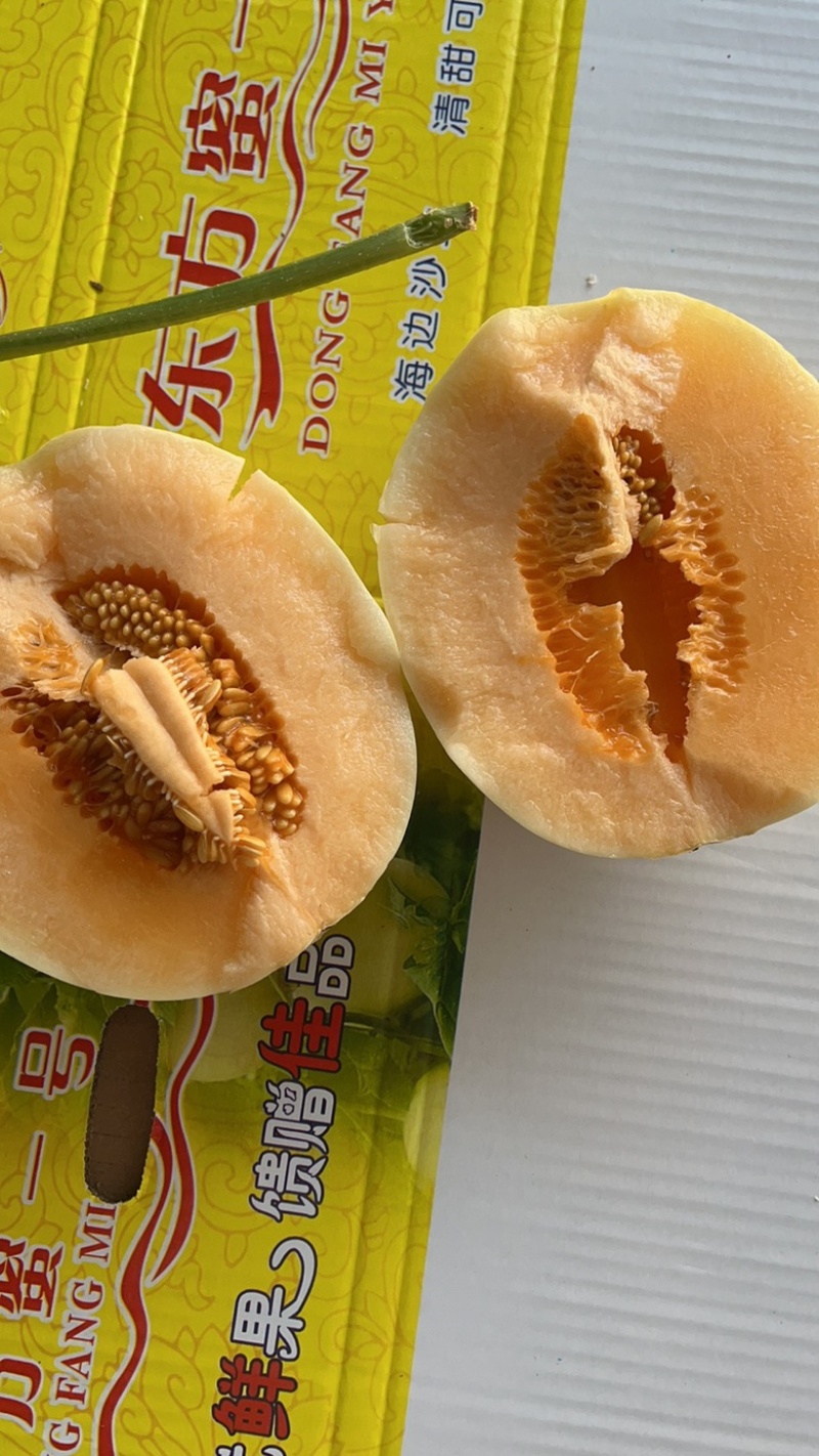 香瓜甜瓜