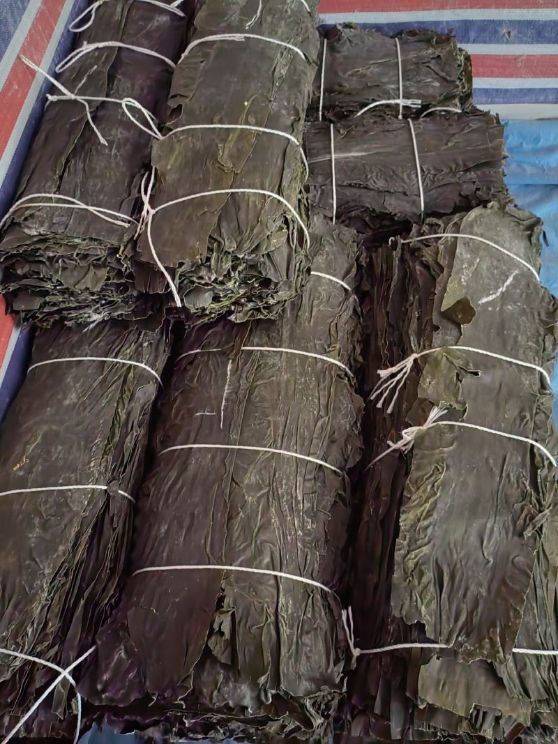 山东淡干海带，一刀板菜，去头去尾，干净无沙。
