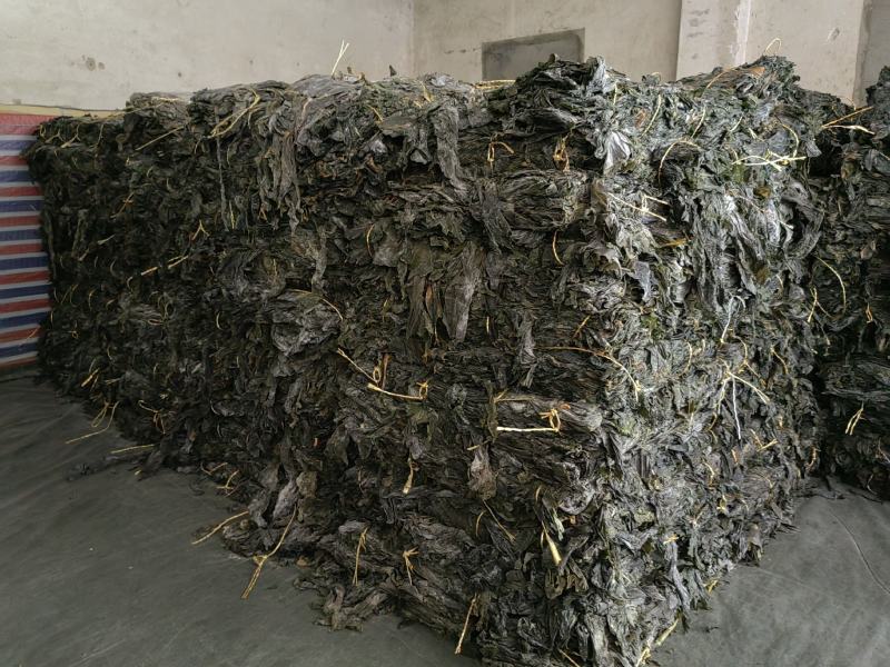 山东淡干海带，一刀板菜，去头去尾，干净无沙。