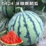 8424西瓜，一手货源无中间商欢迎咨询订购