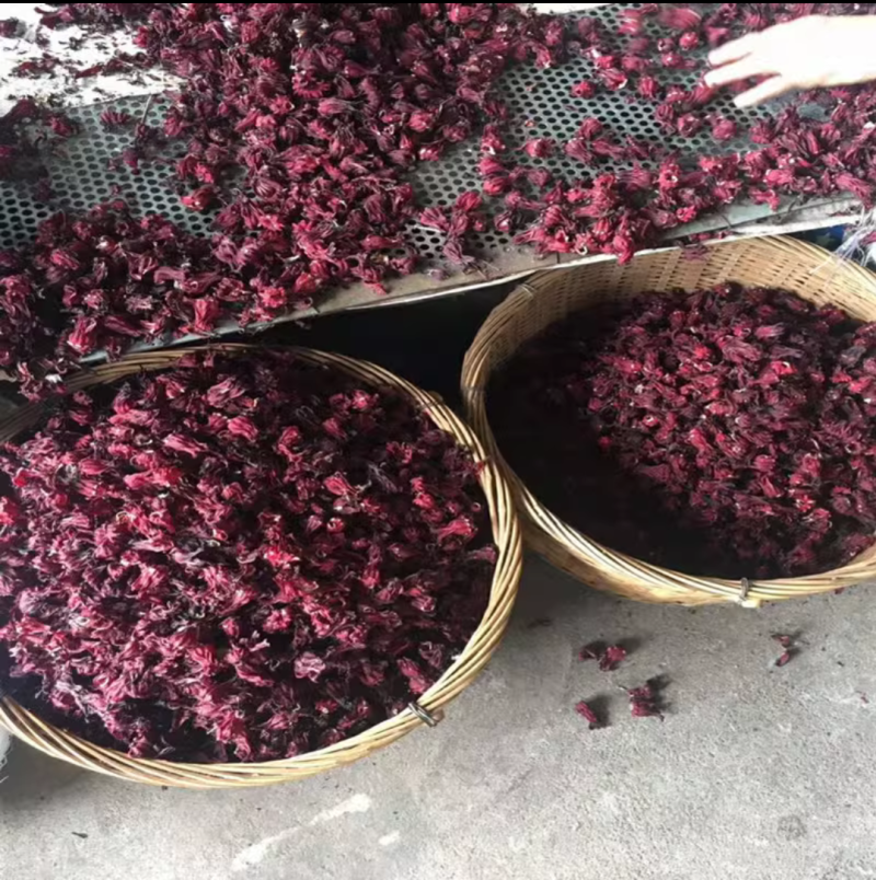 洛神花洛神花干玫瑰茄全干洛神花干无硫***玫瑰茄