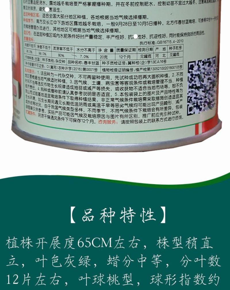 春丰甘蓝牛心甘蓝种子，20克，单重1.5千克左右，冬性强