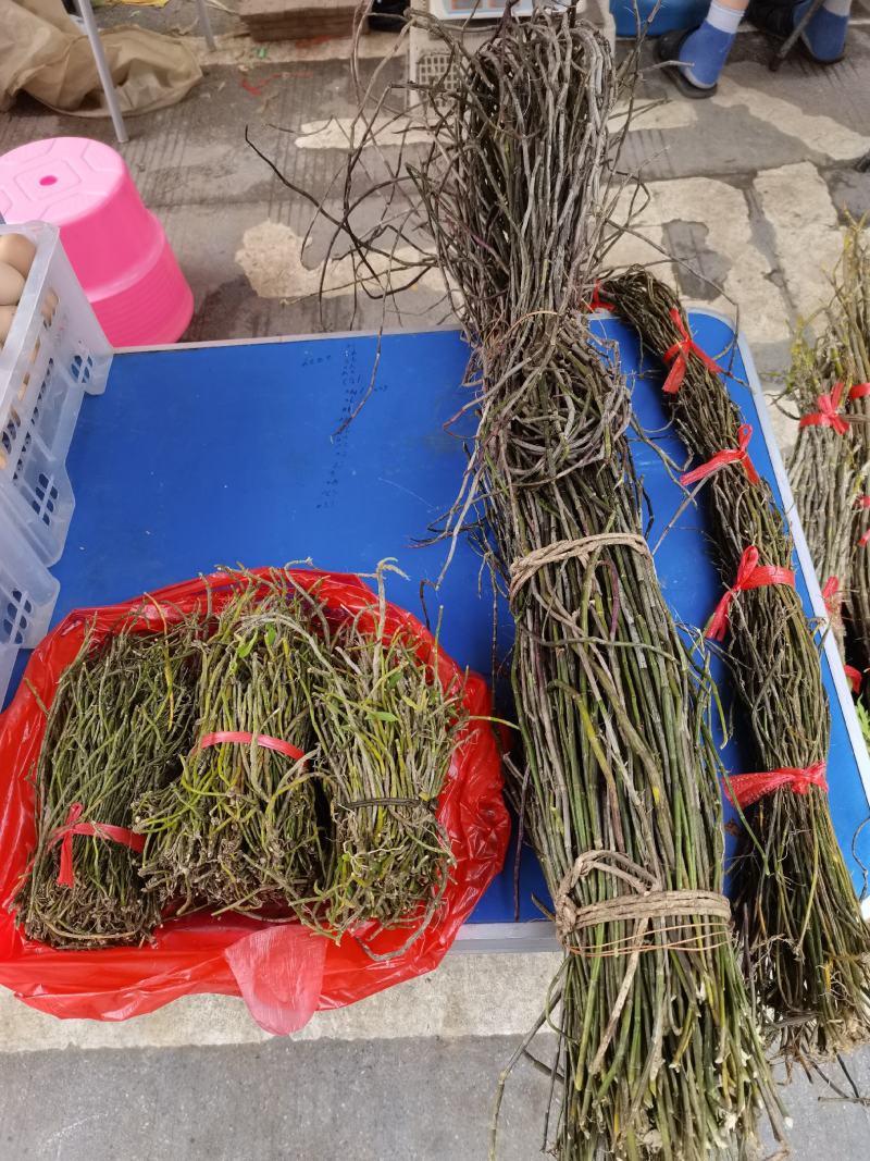广西石斛正宗山上野生小黄草石斛货源充足欢迎来电咨询订购