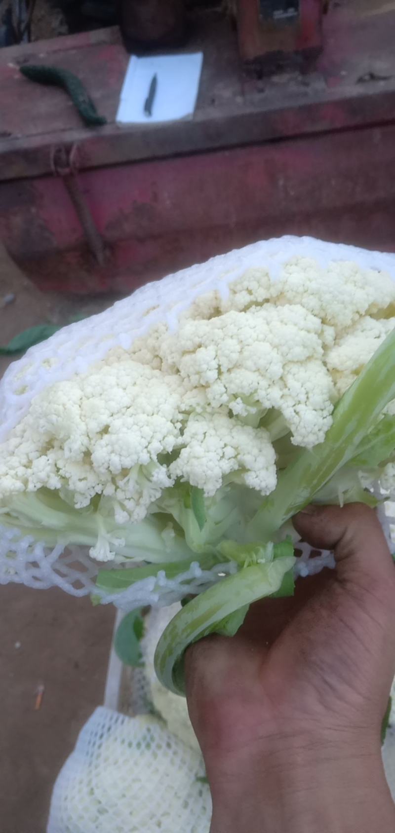 有机花菜