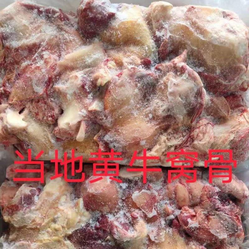 【牛窝骨】黄牛的膝盖骨！筋多肉多！新鲜速冻！全国接单