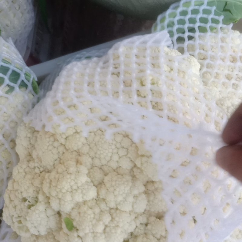 有机花菜