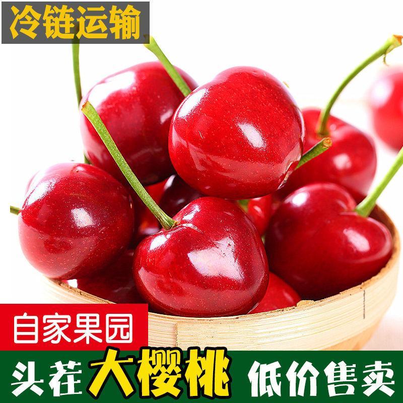 现摘现发】大樱桃新鲜车厘子当季孕妇先锋水果车厘子现摘