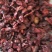山萸肉中药材批发山茱萸山芋肉山萸肉量大优惠
