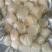 原汁原味瑶柱，新鲜速冻瑶柱，扇贝柱，扇贝丁，