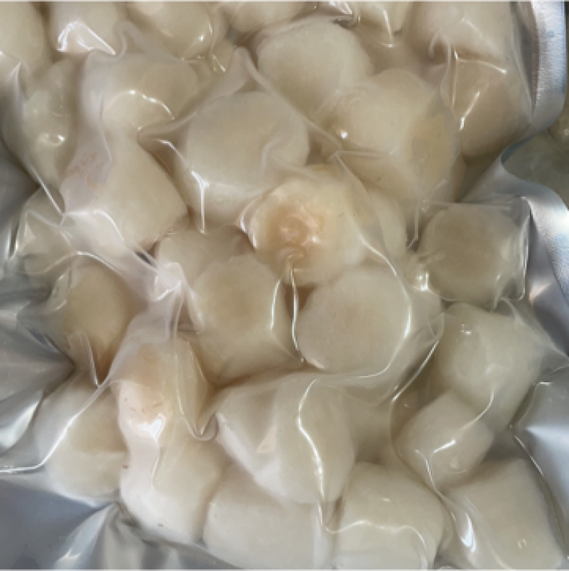 原汁原味瑶柱，新鲜速冻瑶柱，扇贝柱，扇贝丁，