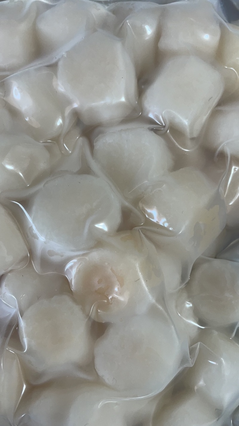 原汁原味瑶柱，新鲜速冻瑶柱，扇贝柱，扇贝丁，