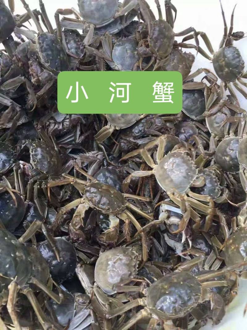溪水小河蟹（鲜活）质量稳定，全年有货。产地直销。