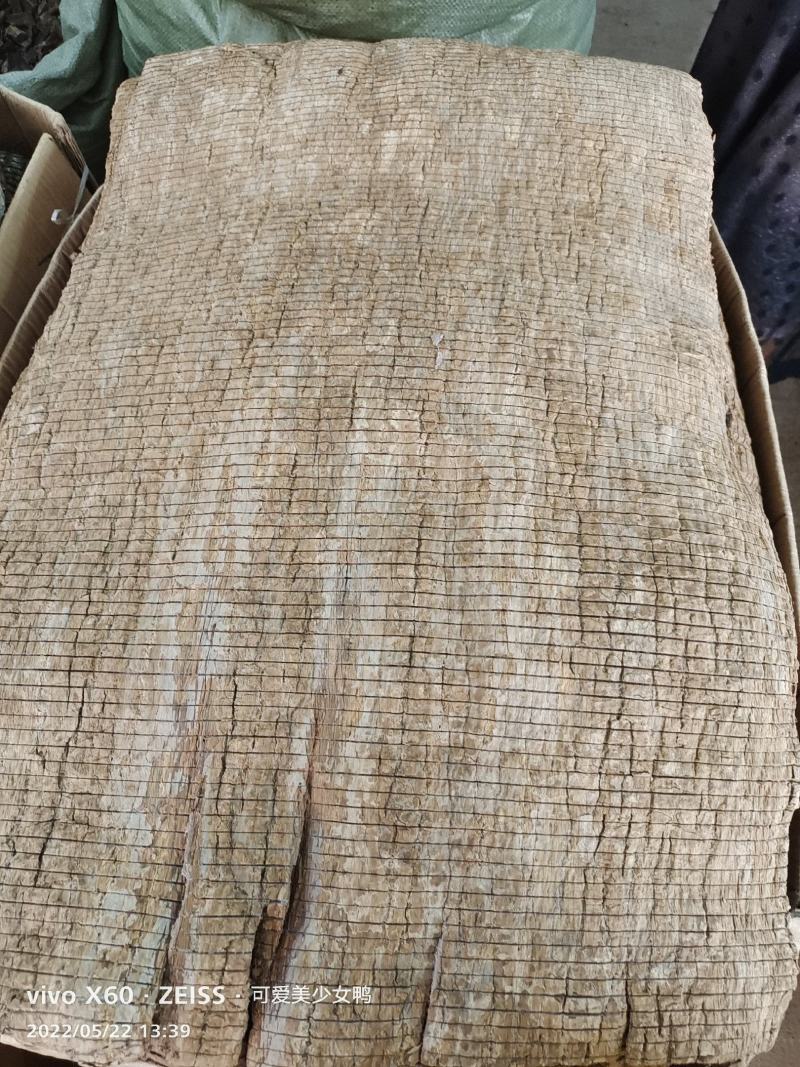 【热】精品广西杜仲皮产地直发，品质保证，量大从优