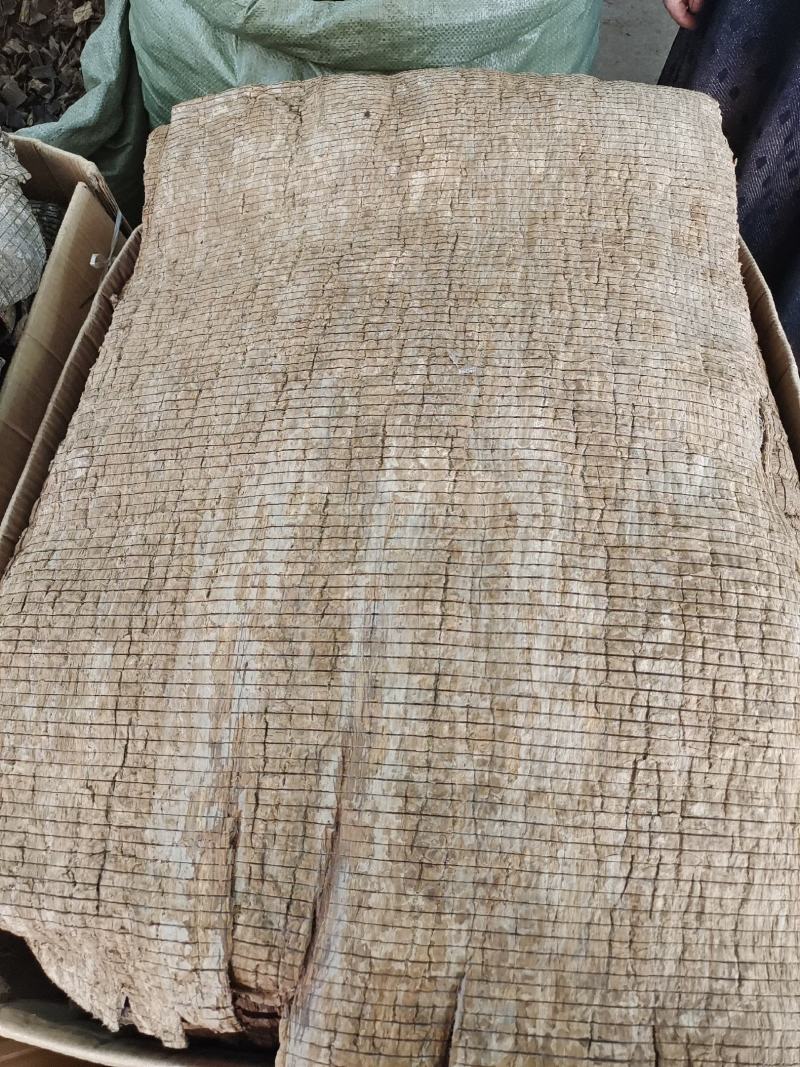 【热】精品广西杜仲皮产地直发，品质保证，量大从优