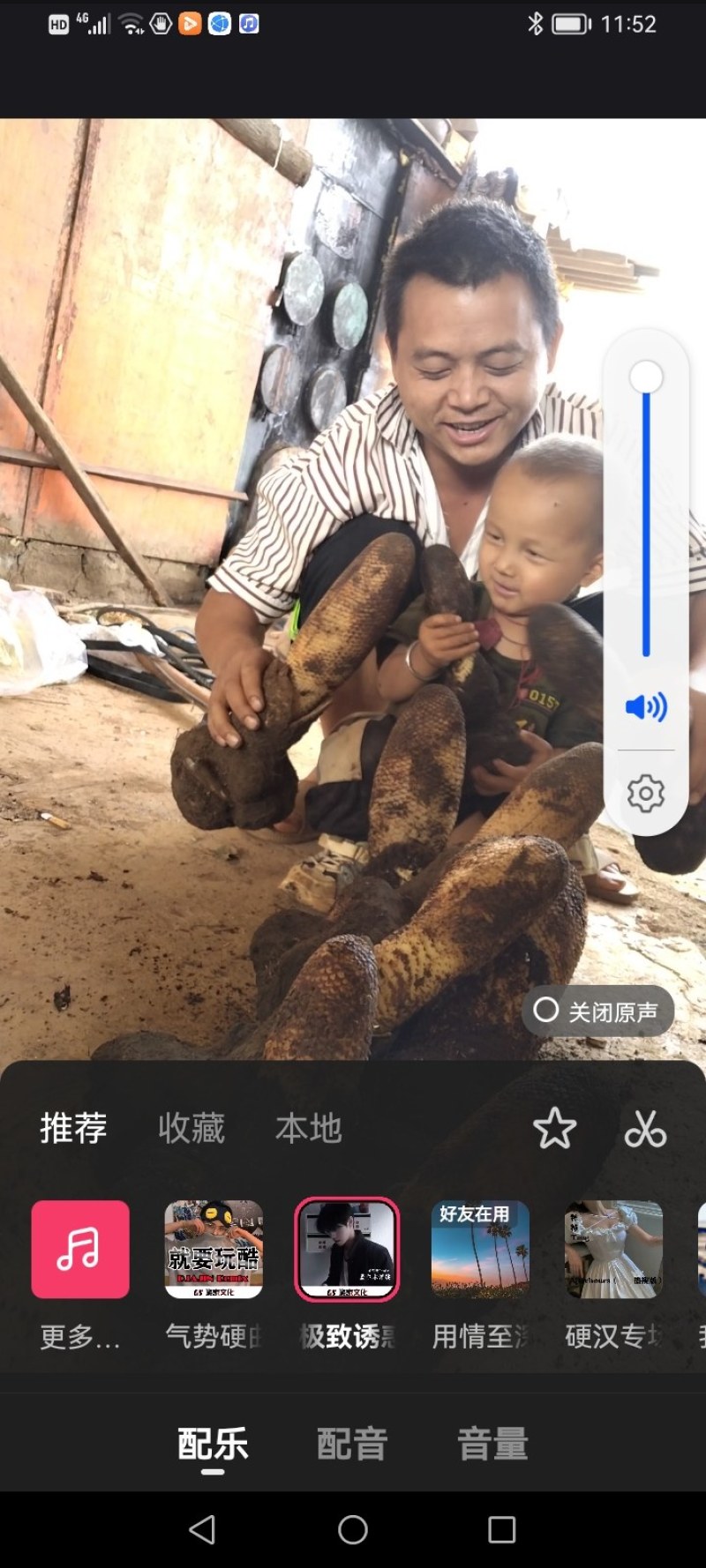 云南金锁阳