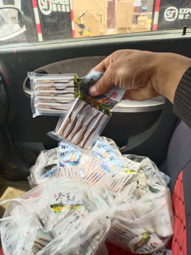 新鲜冬虫夏草，实惠，健康