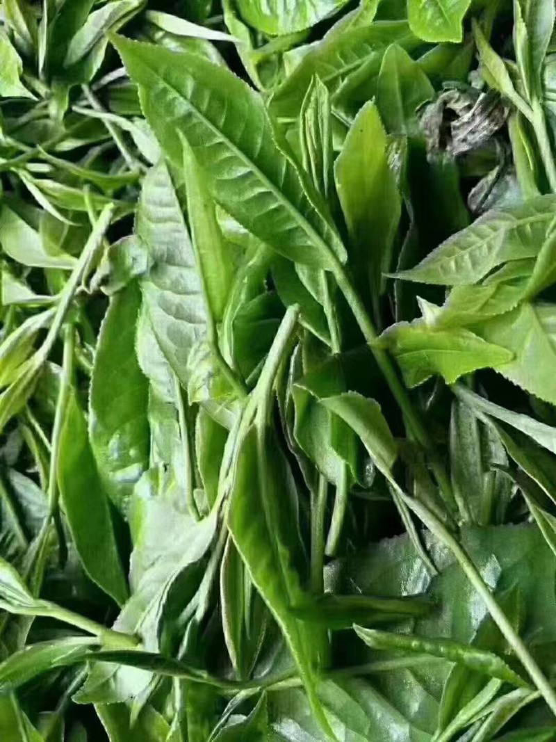 农家手工山茶
