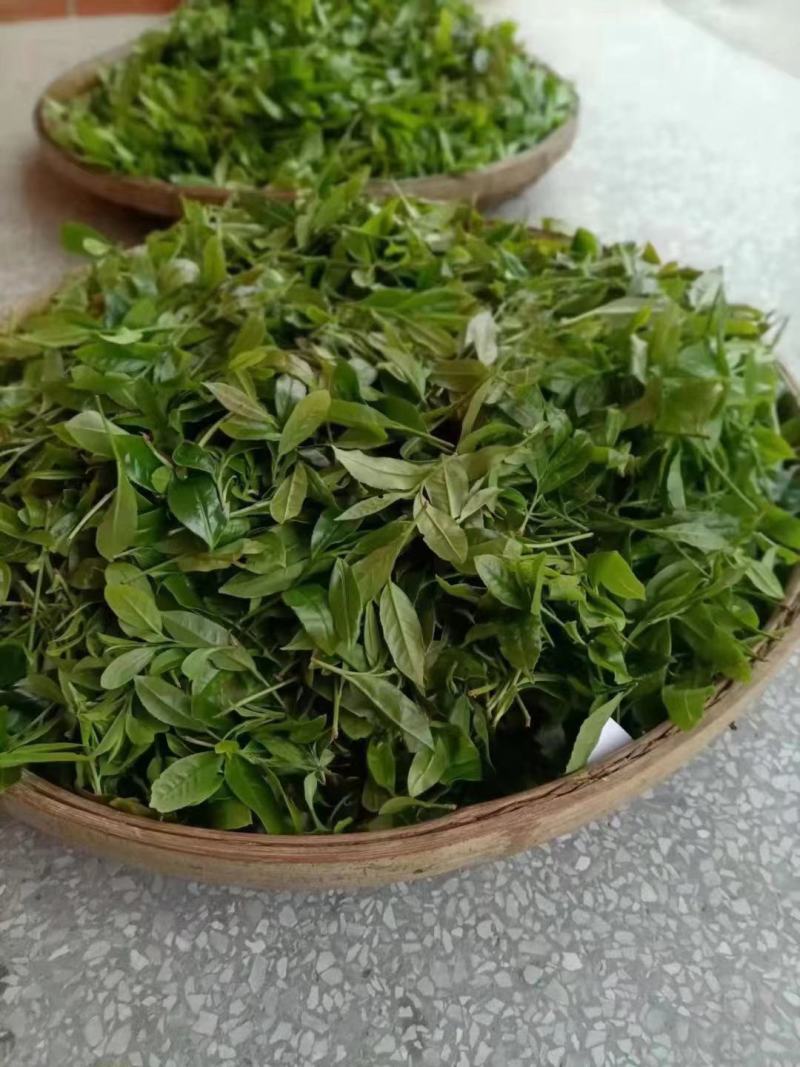 农家手工山茶