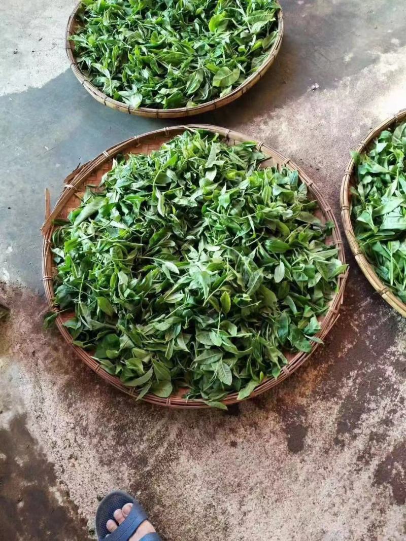 农家手工山茶