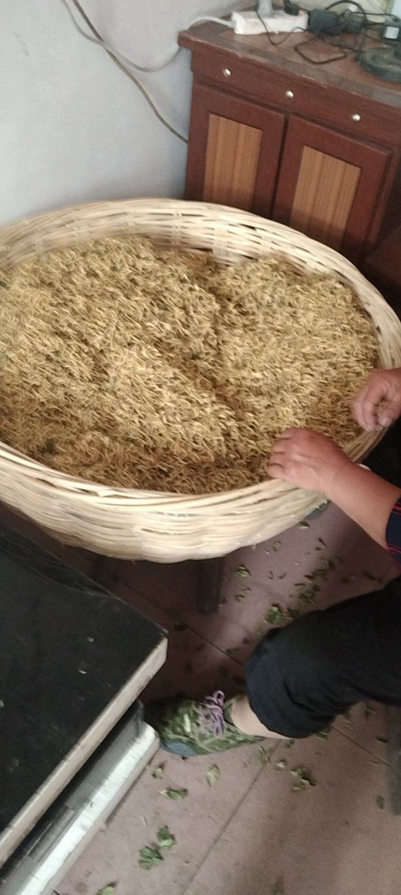 出售优质金银花，日晒天然干花。中药成份足，功效好。